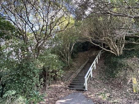 Wooden steps with a white handrail leading up into native bush at Birdwood Reserve